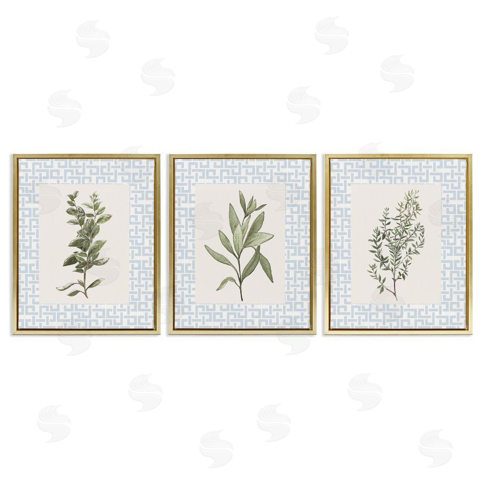 Sundance Graphics Kitchen Herbs on Geometric Gold Floating Frame Canvas Wall Art Print