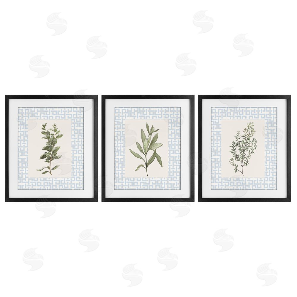 Sundance Graphics Kitchen Herbs on Geometric Black Framed Print Under Glass Wall Art