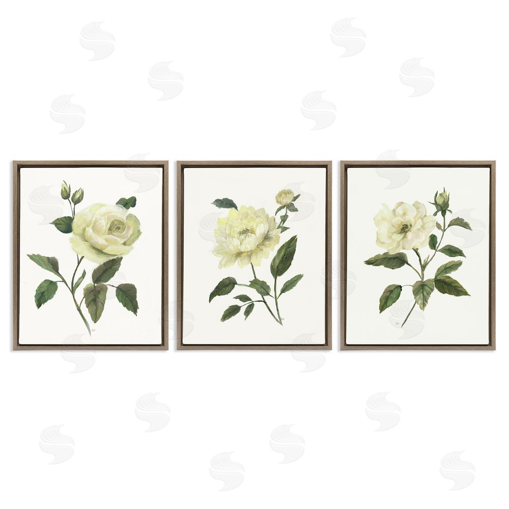 Nan Ivory Budding Garden Flowers Brown Floating Frame Canvas Wall Art Print
