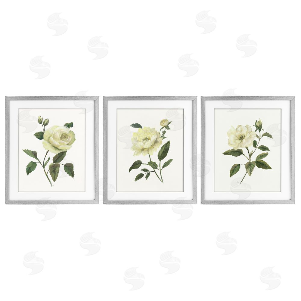 Nan Ivory Budding Garden Flowers Gray Framed Print Under Glass Wall Art