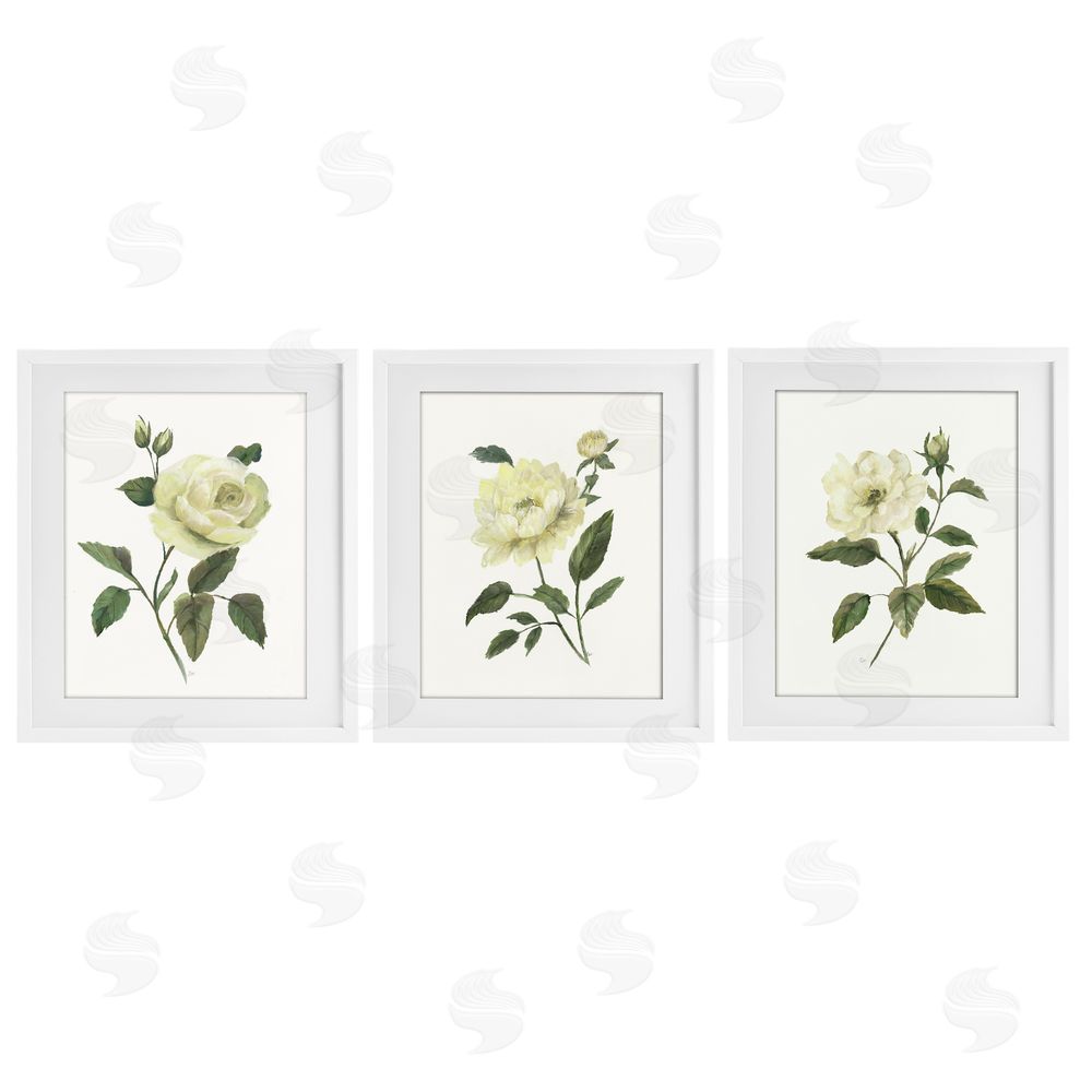Nan Ivory Budding Garden Flowers White Framed Print Under Glass Wall Art