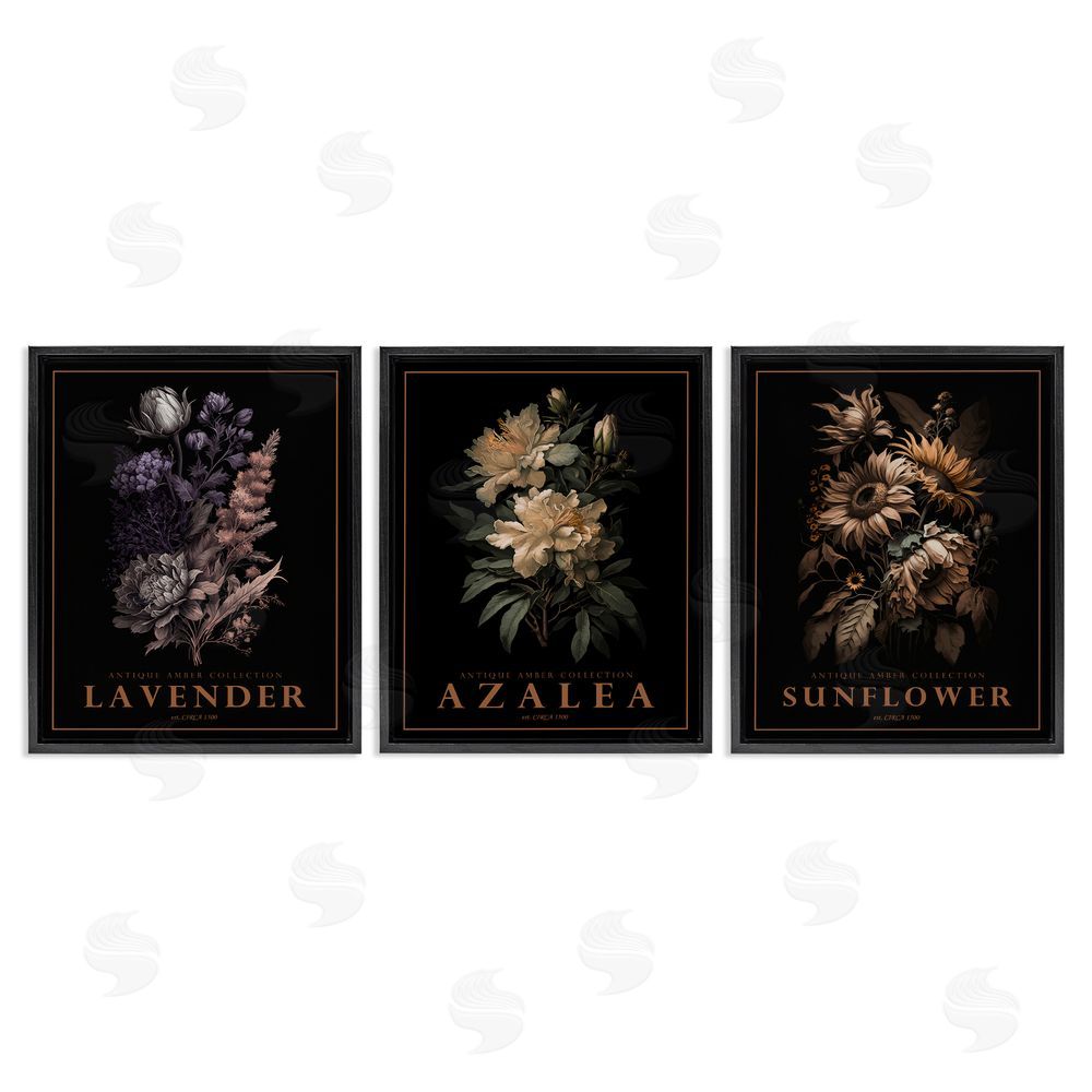 Image Conscious Antique Botanical Herb Bushels Black Floating Frame Canvas Wall Art Print