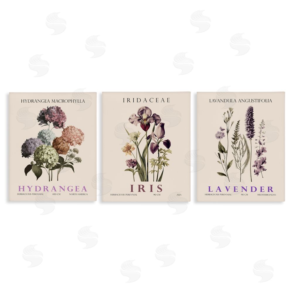 Image Conscious Botanical Bundles & Sprigs Canvas Wall Art Print