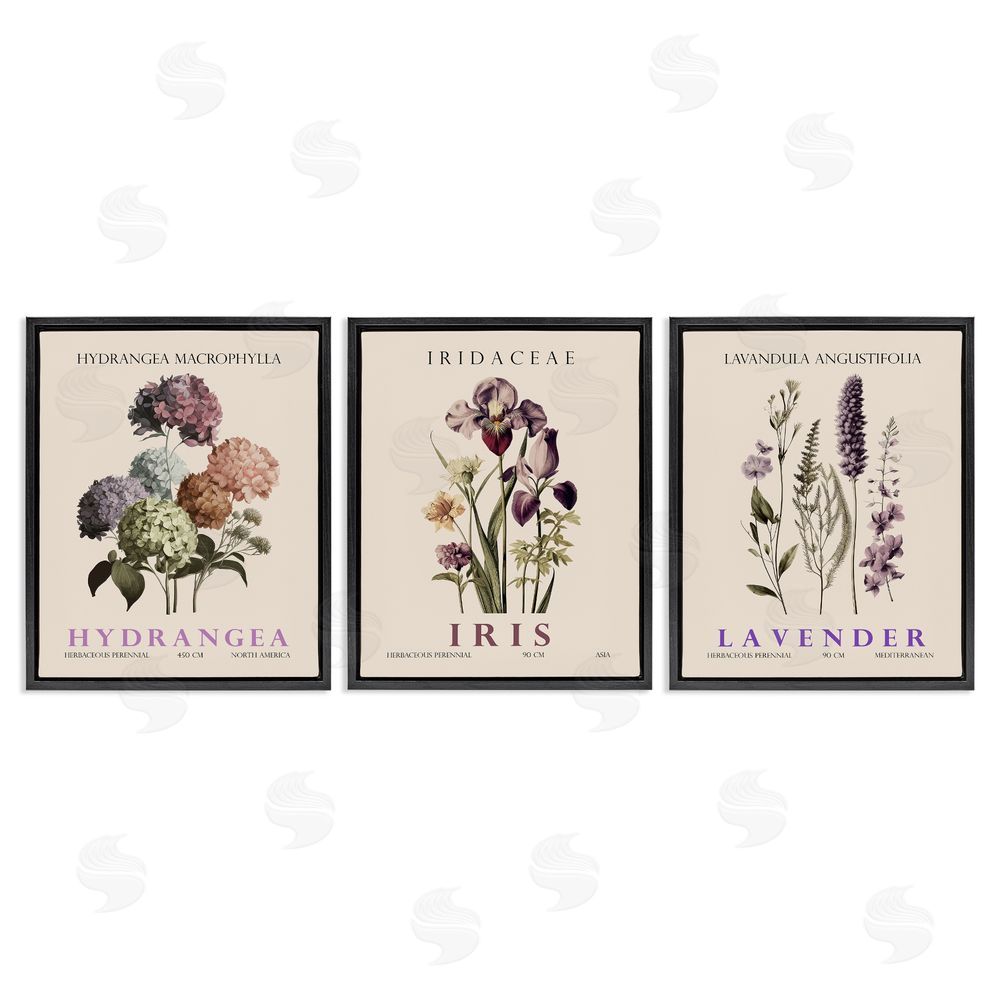Image Conscious Botanical Bundles & Sprigs Black Floating Frame Canvas Wall Art Print