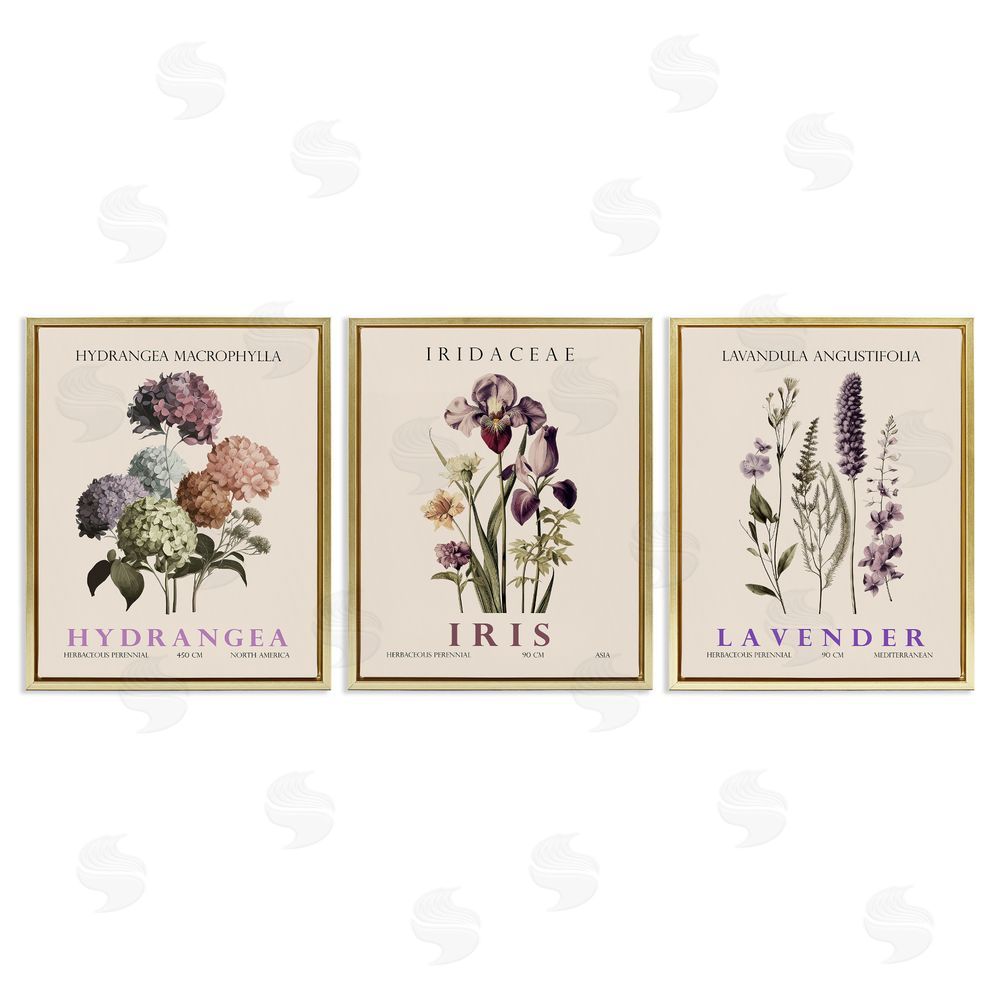 Image Conscious Botanical Bundles & Sprigs Gold Floating Frame Canvas Wall Art Print