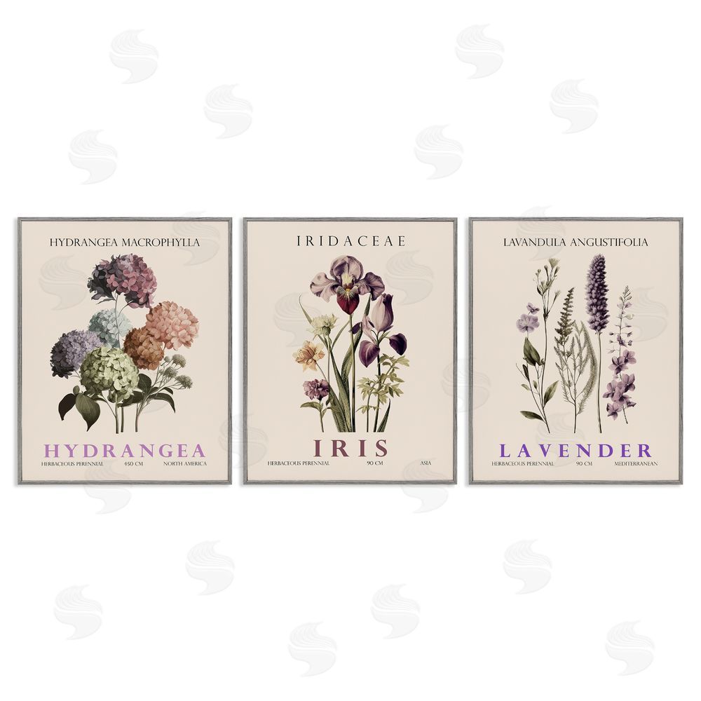 Image Conscious Botanical Bundles & Sprigs Gray Framed Giclee Wall Art Print