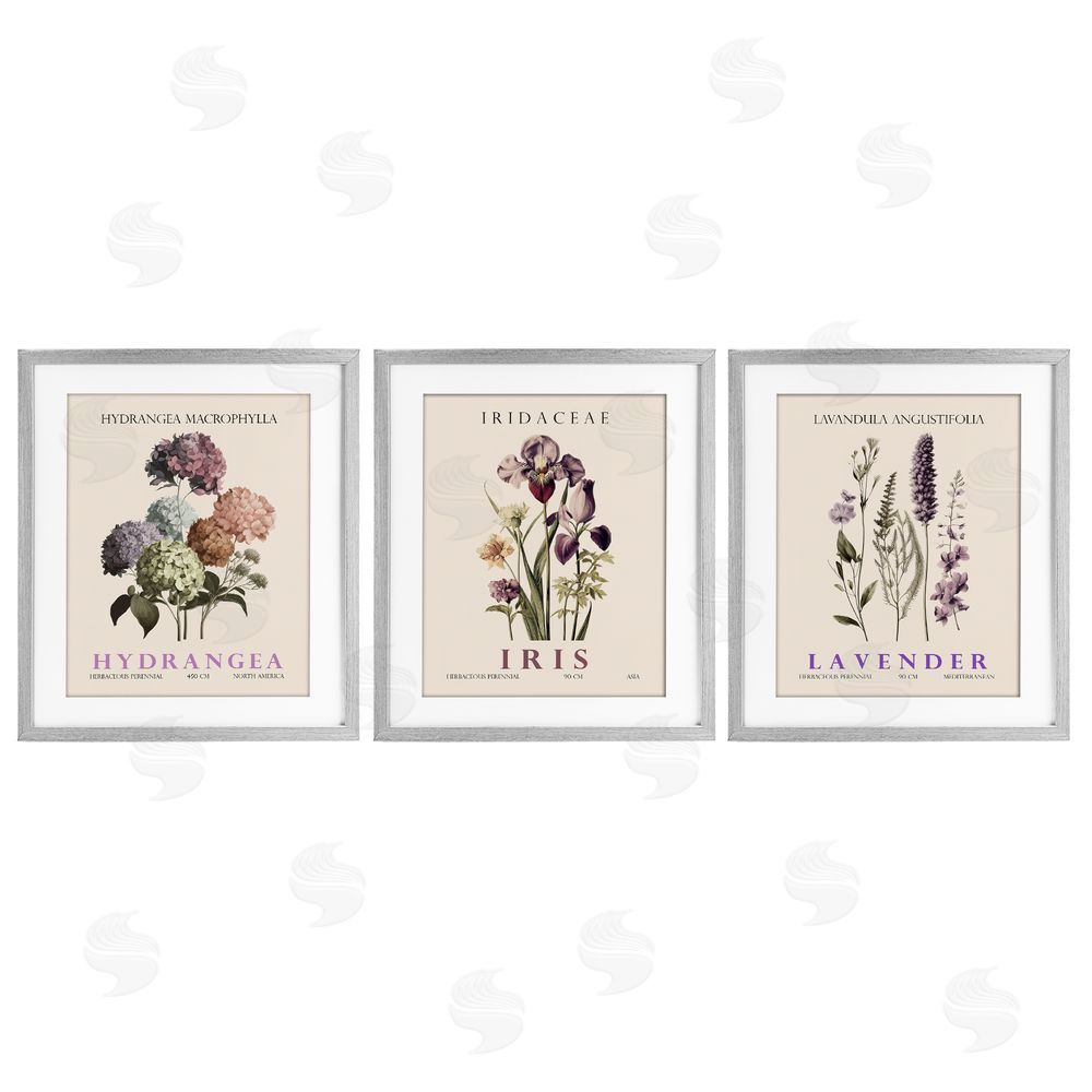 Image Conscious Botanical Bundles & Sprigs Gray Framed Print Under Glass Wall Art