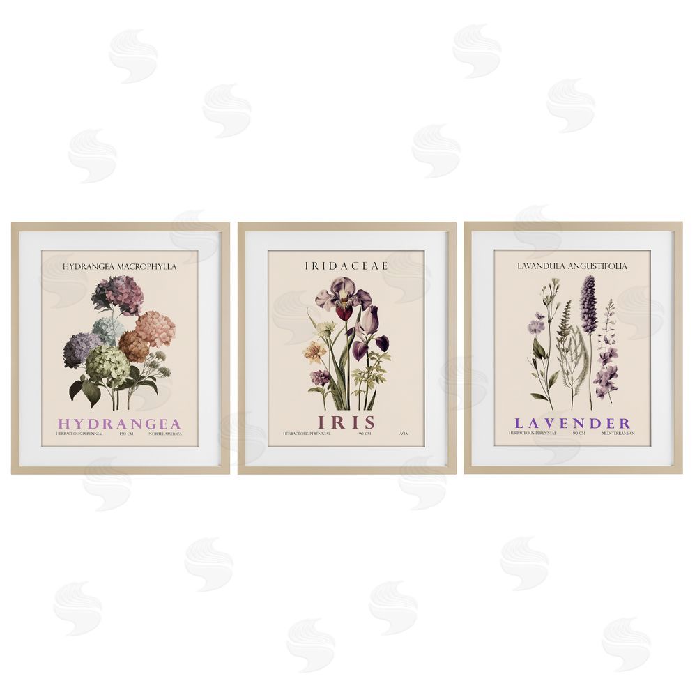 Image Conscious Botanical Bundles & Sprigs Birch Framed Print Under Glass Wall Art