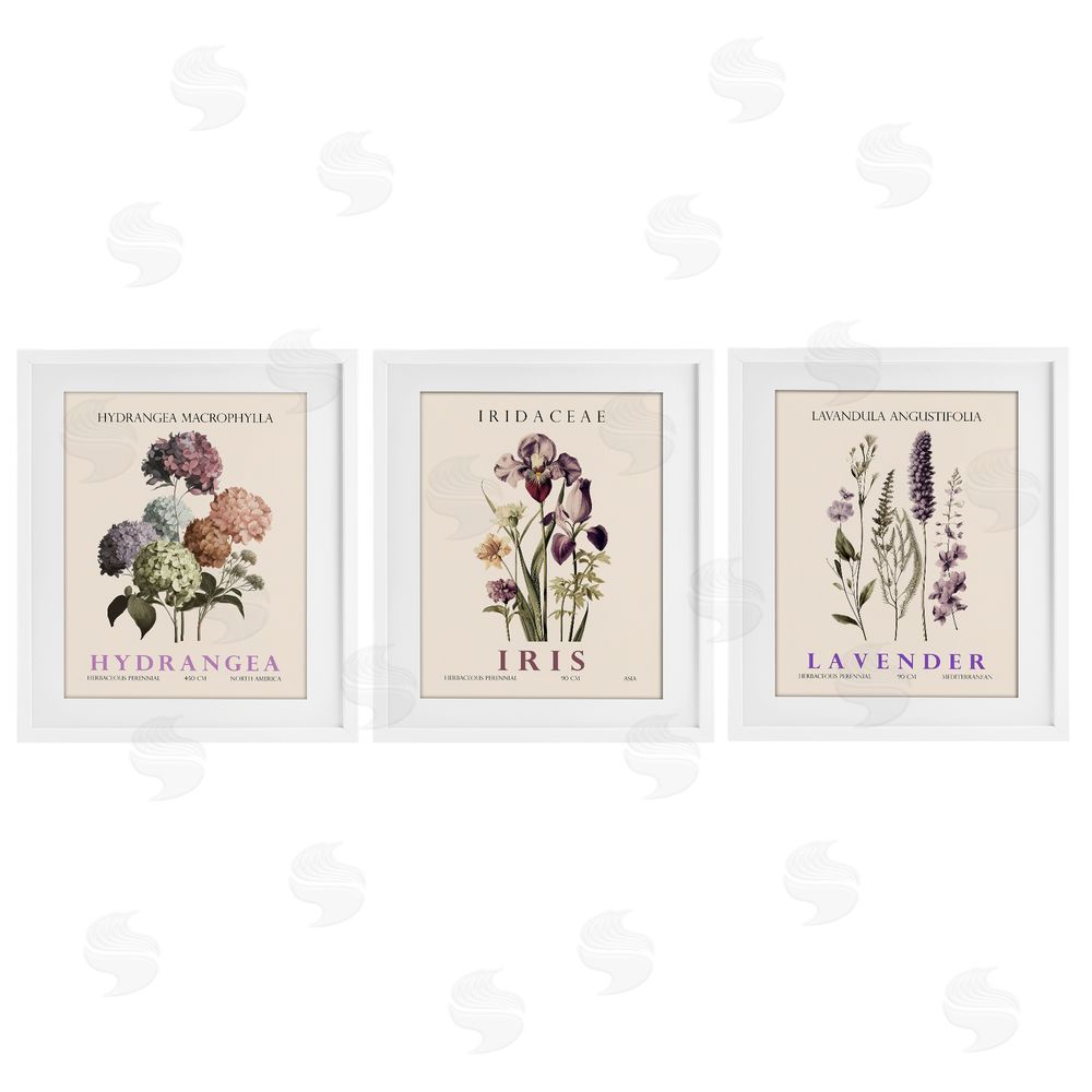 Image Conscious Botanical Bundles & Sprigs White Framed Print Under Glass Wall Art