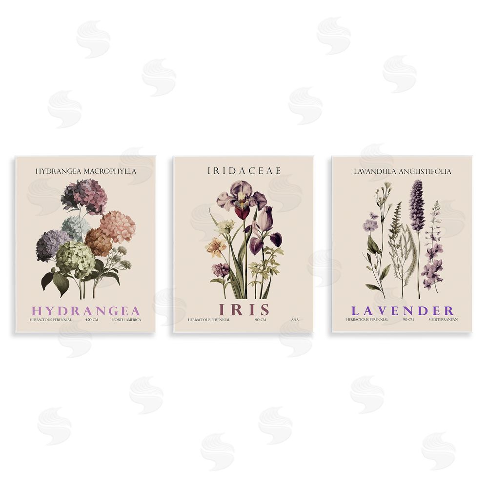 Image Conscious Botanical Bundles & Sprigs Wall Plaque Printed Art