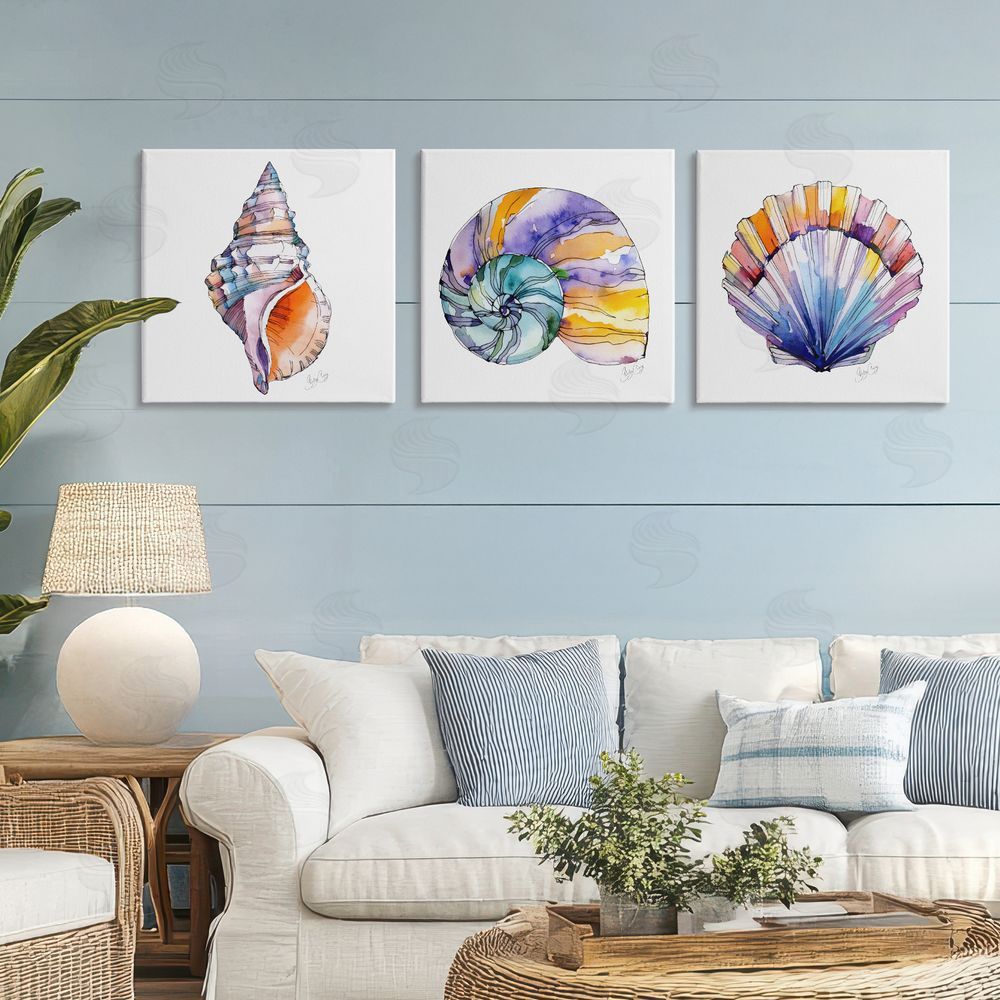 Shelly Craig Sunlit Seashells Watercolors 