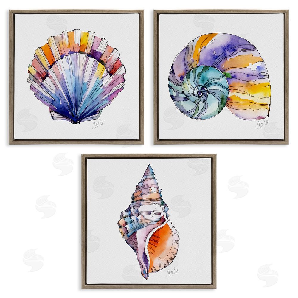 Shelly Craig Sunlit Seashells Watercolors Brown Floating Frame Canvas Wall Art Print