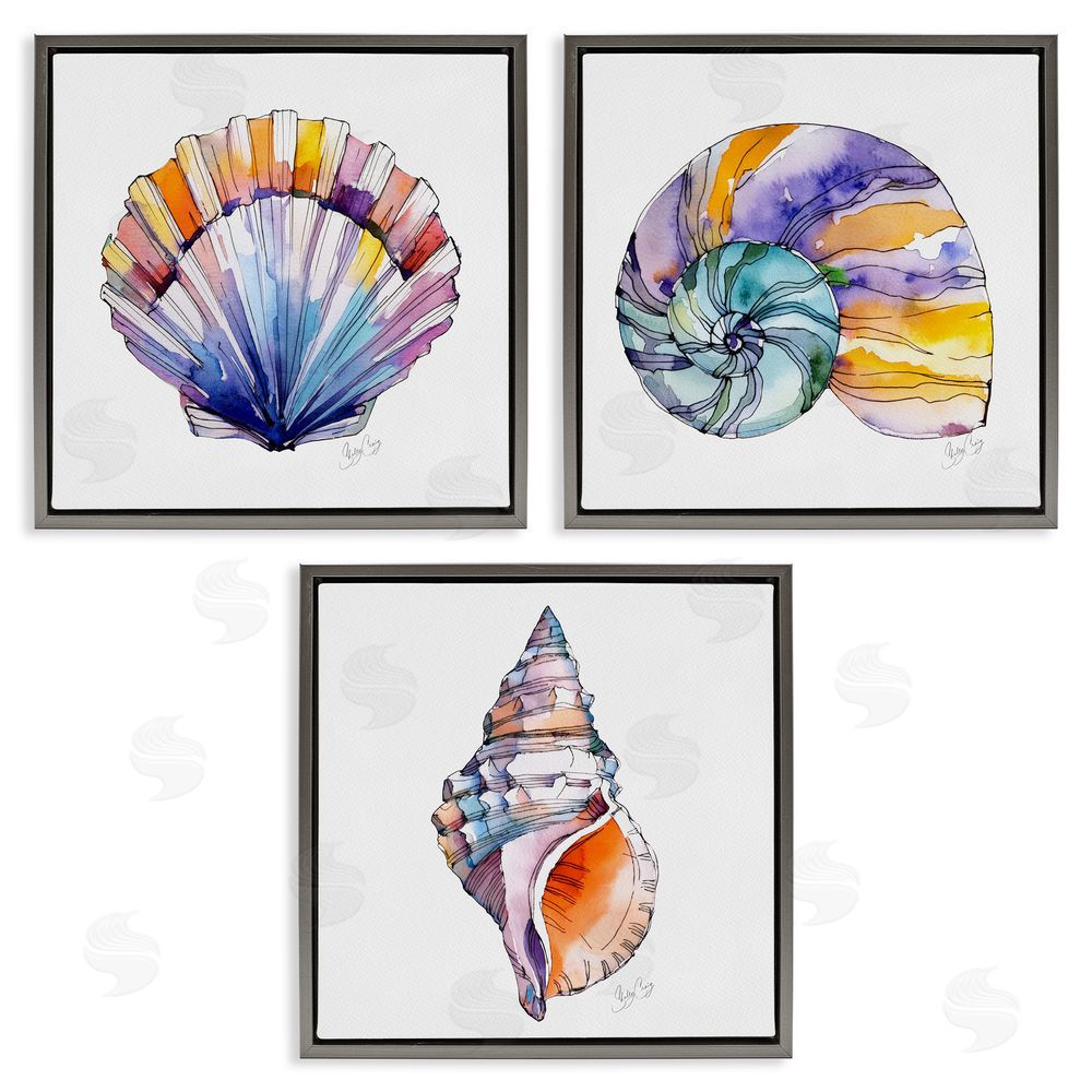 Shelly Craig Sunlit Seashells Watercolors Gray Floating Frame Canvas Wall Art Print