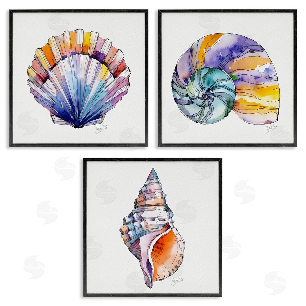 Shelly Craig Sunlit Seashells Watercolors Black Framed Giclee Wall Art Print