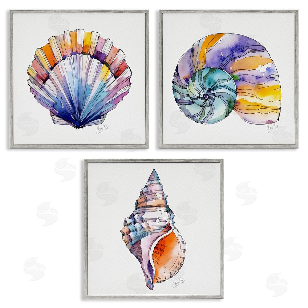 Shelly Craig Sunlit Seashells Watercolors Gray Framed Giclee Wall Art Print