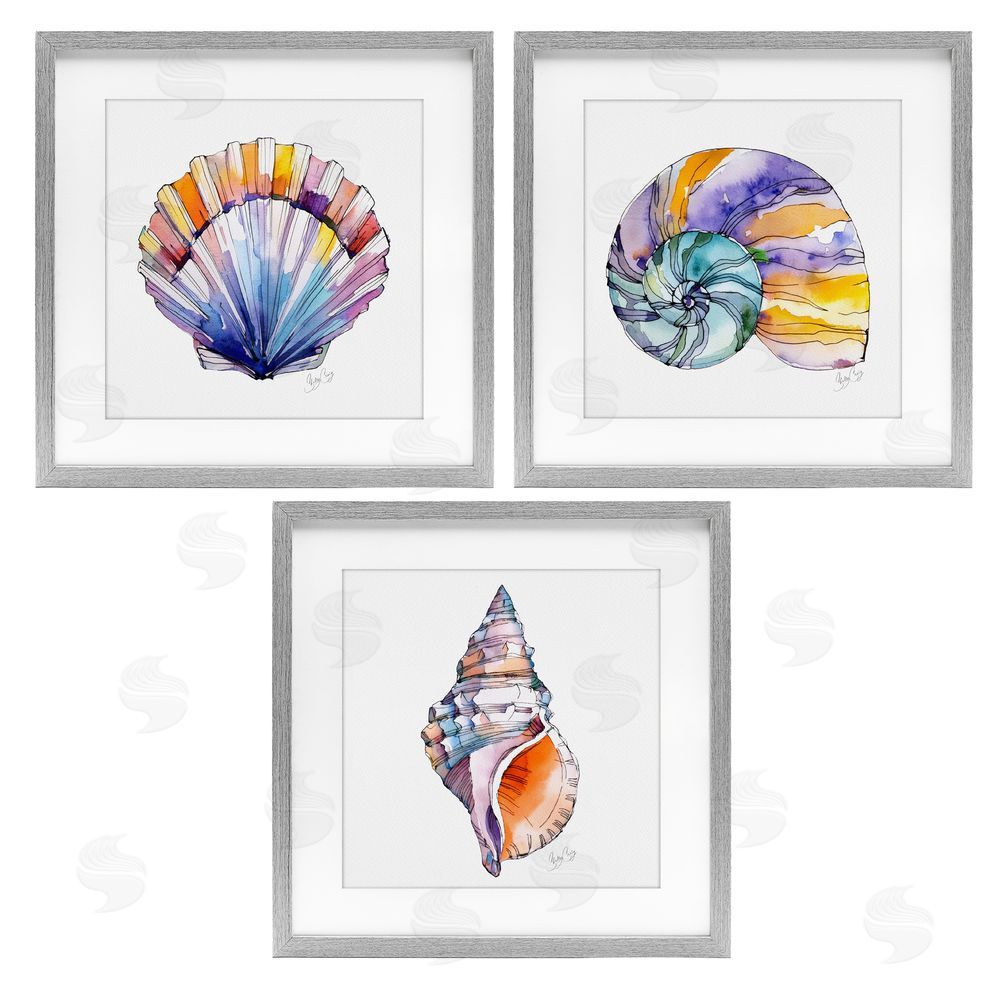 Shelly Craig Sunlit Seashells Watercolors Gray Framed Print Under Glass Wall Art
