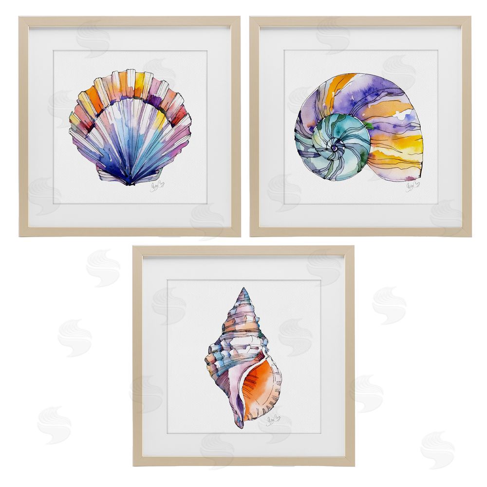 Shelly Craig Sunlit Seashells Watercolors Brown Framed Print Under Glass Wall Art