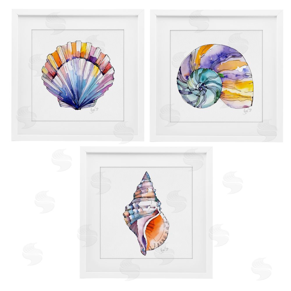 Shelly Craig Sunlit Seashells Watercolors White Framed Print Under Glass Wall Art