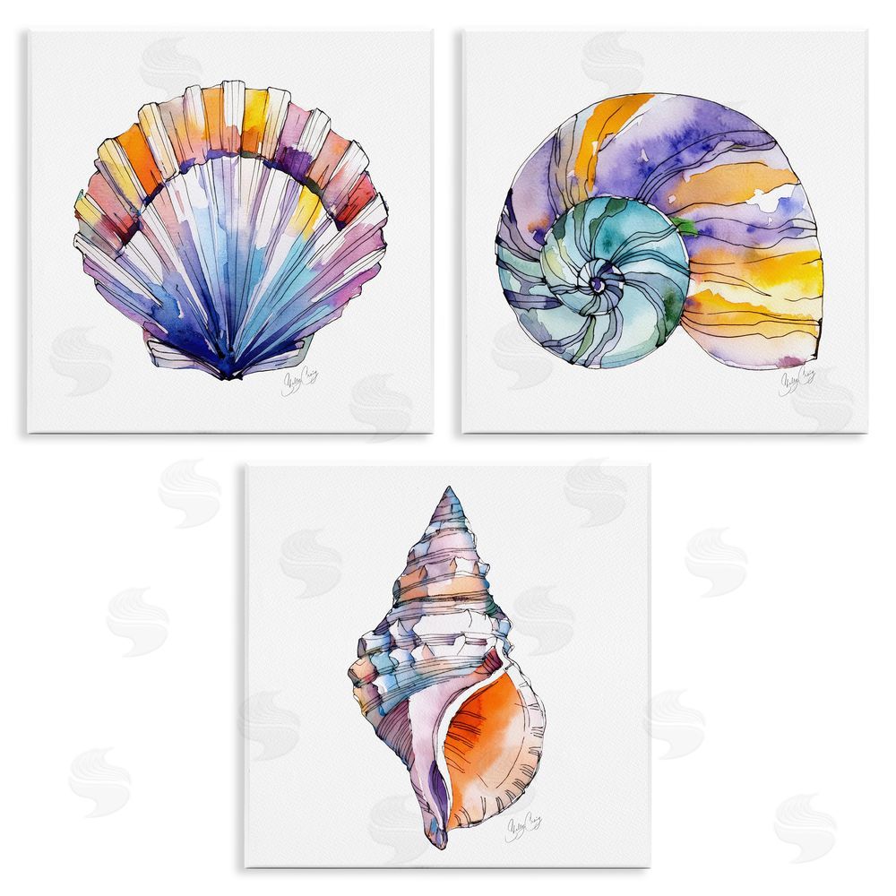 Shelly Craig Sunlit Seashells Watercolors Wooden Wall Plaque Art Print
