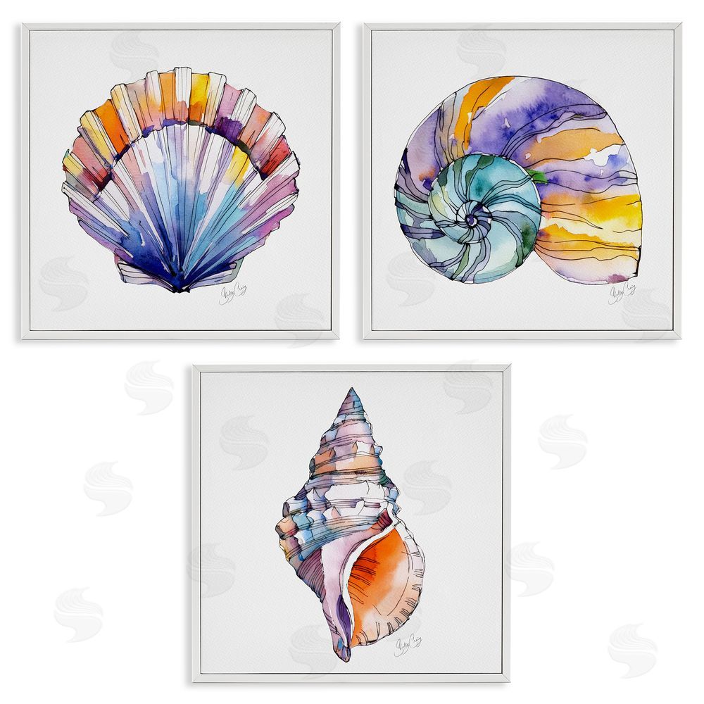 Shelly Craig Sunlit Seashells Watercolors White Framed Giclee Wall Art Print