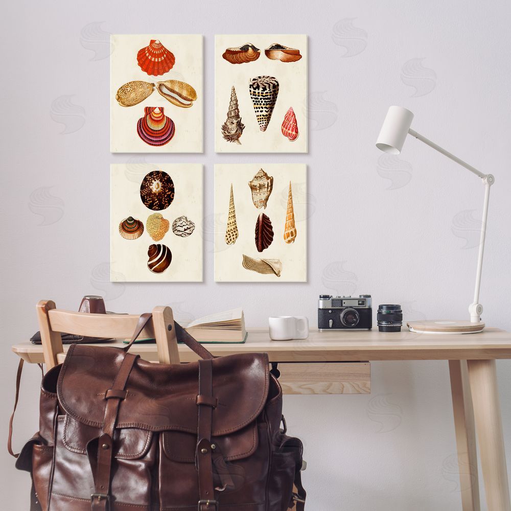 G.W. Knorr Vintage Nautical Seashells Warm Tones Canvas Wall Art Print in Room