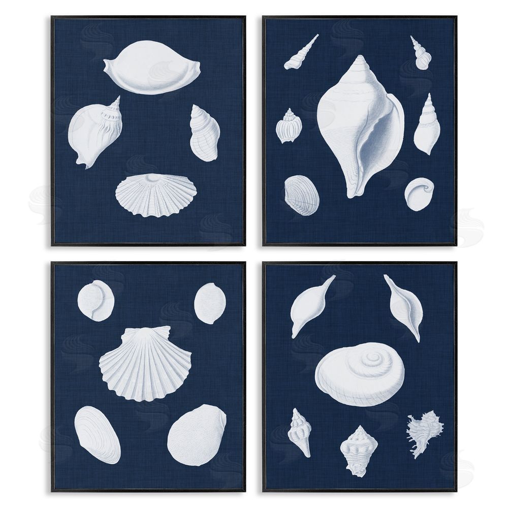 Vision Studio Nautical Beach Shells Minimal Deep Blue Black Framed Giclee Wall Art Print