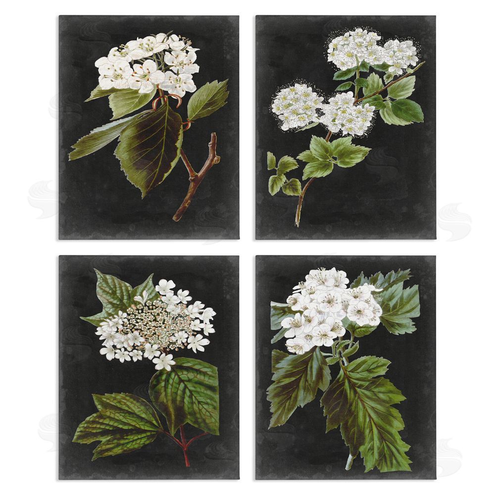 Vision Studio Charming Cottage Florals over Charcoal Grey Canvas Wall Art Print