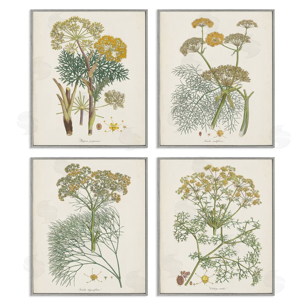 Unknown Artist Vintage Saffron Study with Floral Herbs Gray Framed Giclee Wall Art Print