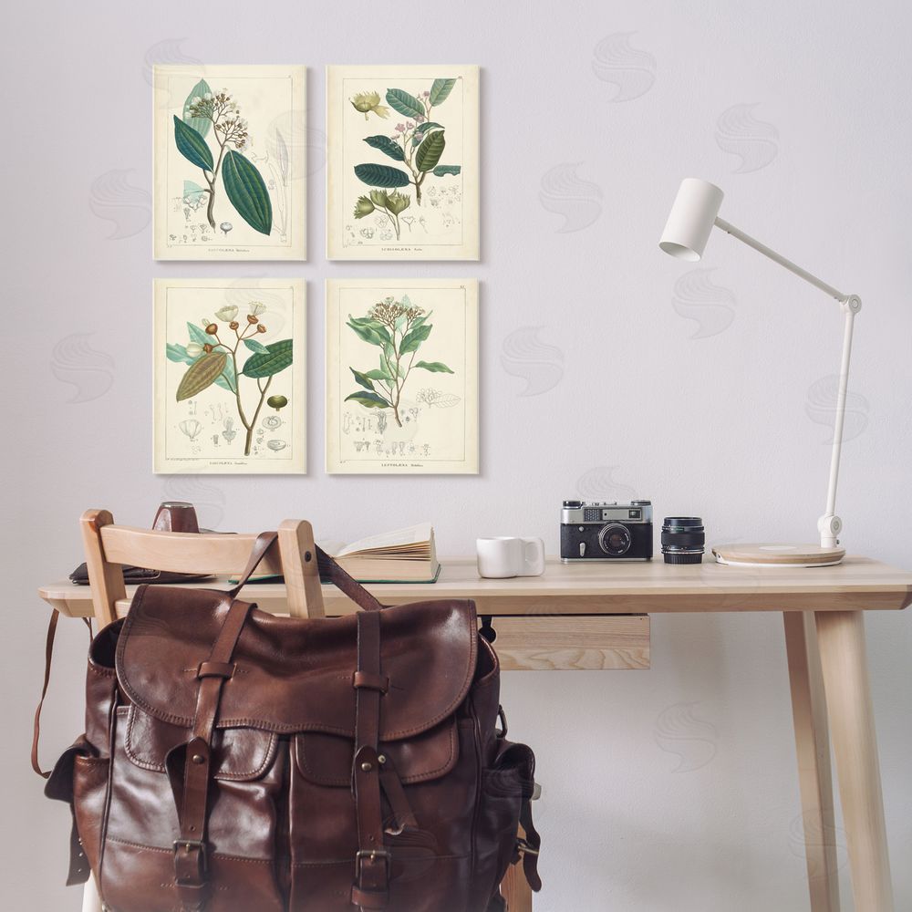 Unknown Artist Vintage Floral Anatomy Illustration Latin Study Canvas Wall Art Print in Room
