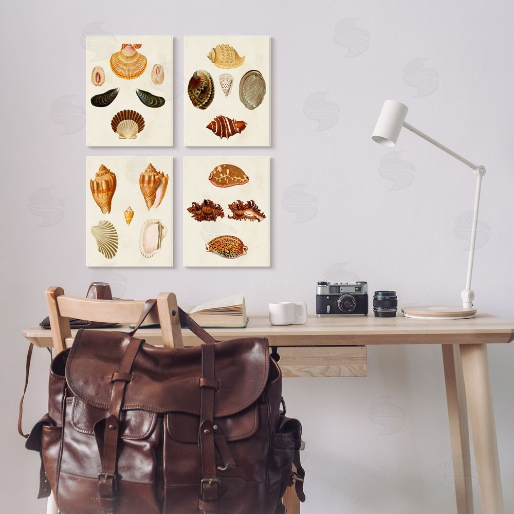 G.W. Knorr Vintage Seashell Study Intricate Patterns Canvas Wall Art Print in Room