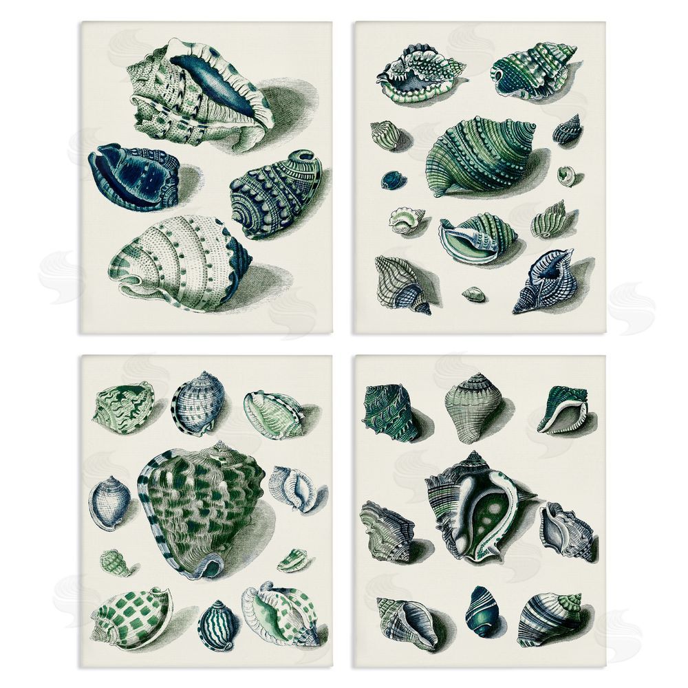 Vision Studio Nautical Spiral Conch Shell Collage Canvas Wall Art Print