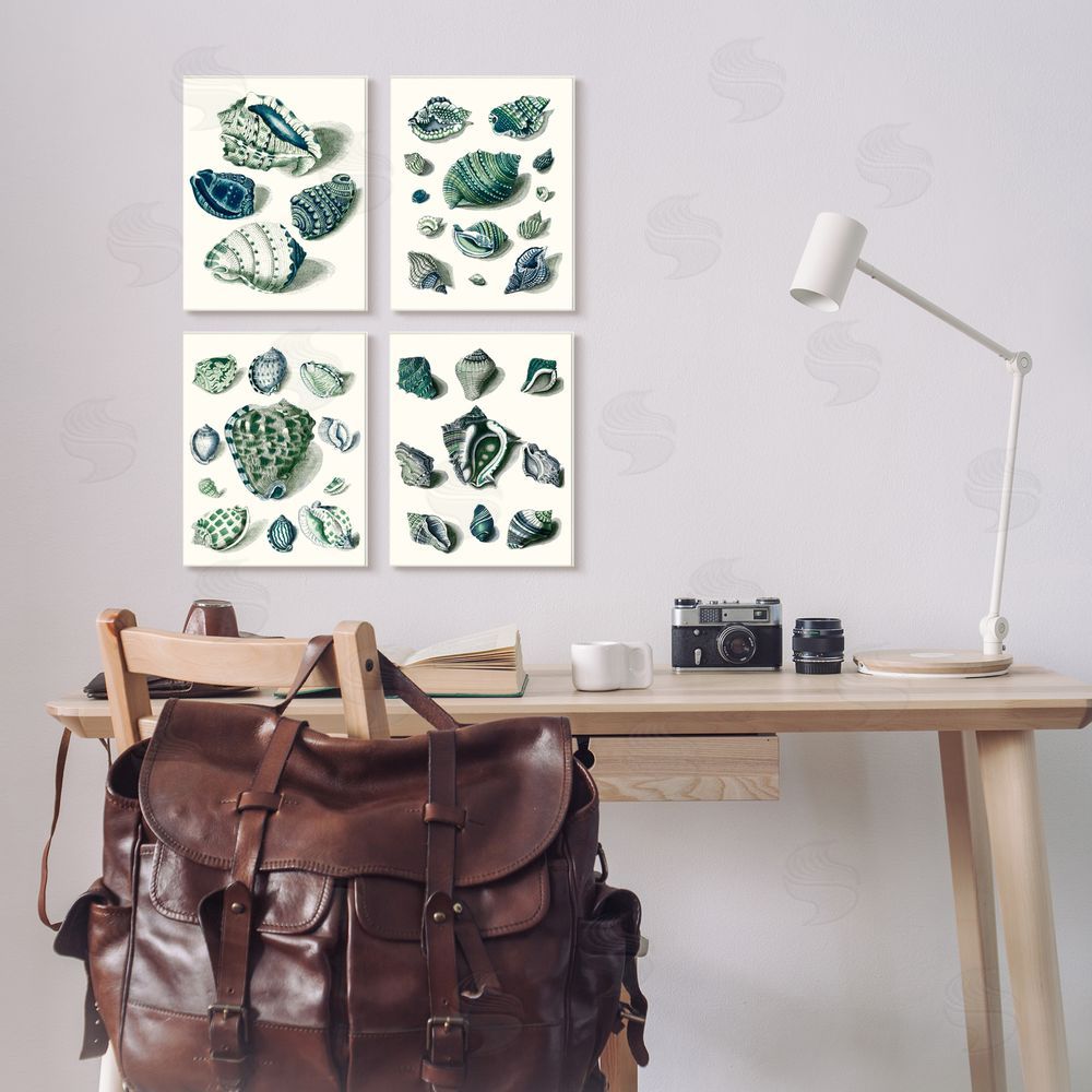 Vision Studio Nautical Spiral Conch Shell Collage Canvas Wall Art Print in Room