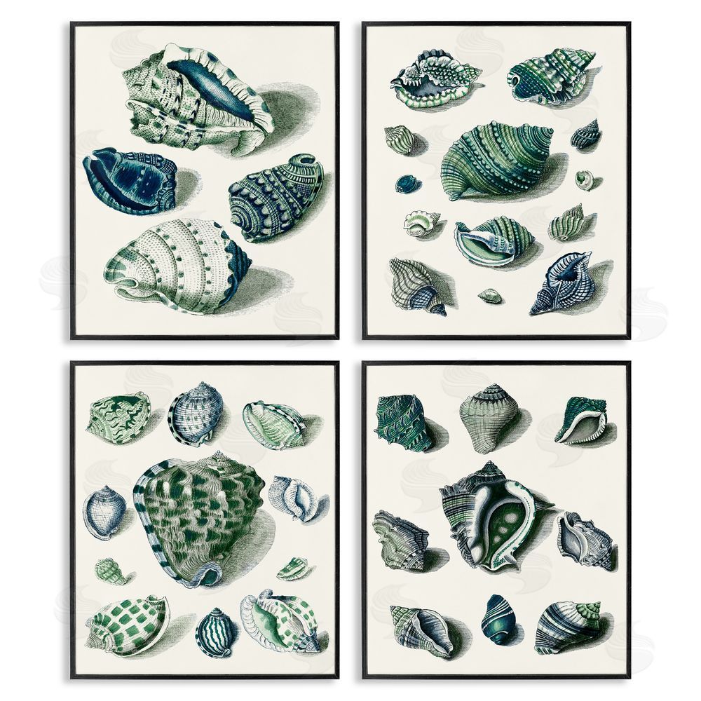 Vision Studio Nautical Spiral Conch Shell Collage Black Framed Giclee Wall Art Print