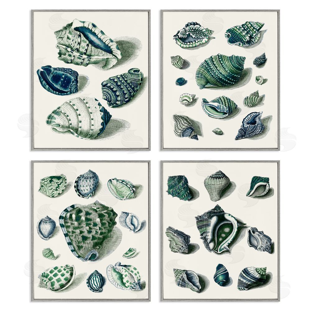 Vision Studio Nautical Spiral Conch Shell Collage Gray Framed Giclee Wall Art Print