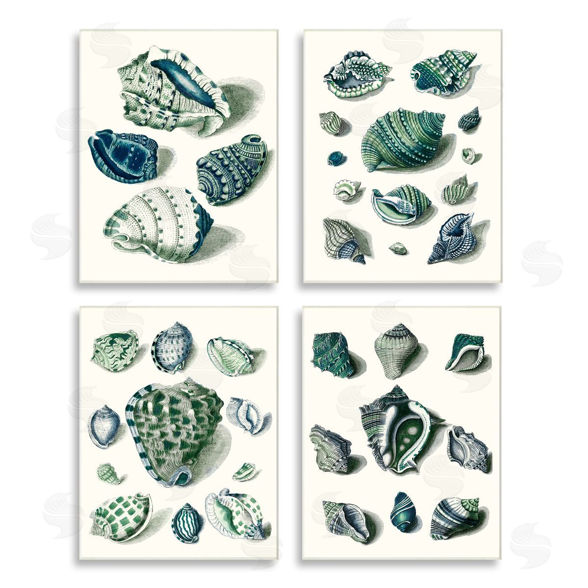 Vision Studio Nautical Spiral Conch Shell Collage Wooden Wall Plaque Art Print