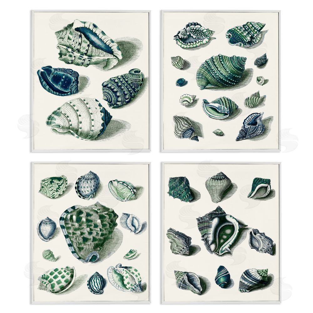 Vision Studio Nautical Spiral Conch Shell Collage White Framed Giclee Wall Art Print