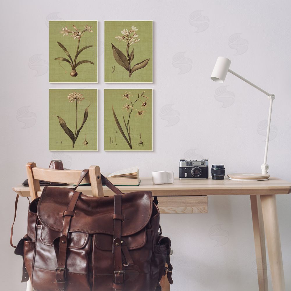 John Seba Vintage Botanical Plant Illustration Scientific Study Canvas Wall Art Print in Room