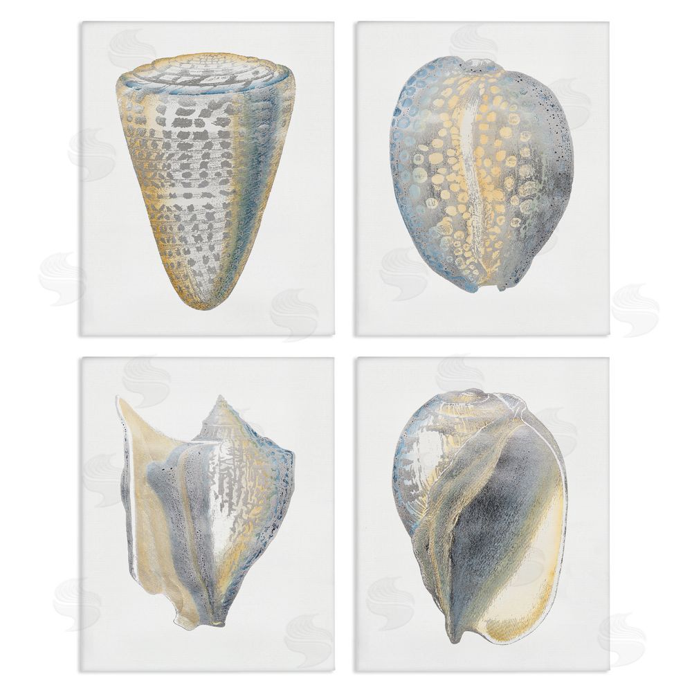Vision Studio Minimal Marine Shells Unique Pattern Canvas Wall Art Print