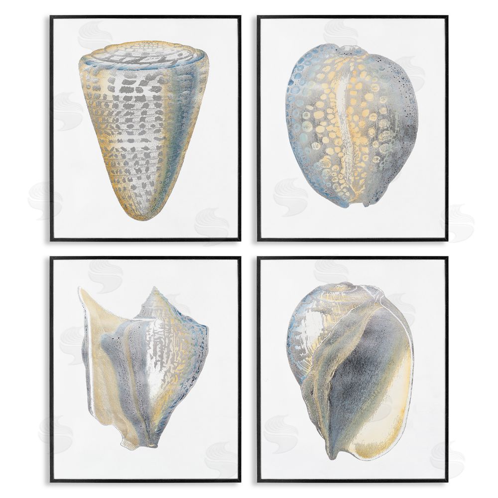Vision Studio Minimal Marine Shells Unique Pattern Black Framed Giclee Wall Art Print