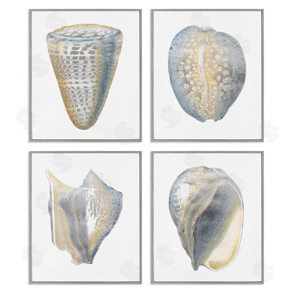 Vision Studio Minimal Marine Shells Unique Pattern Gray Framed Giclee Wall Art Print
