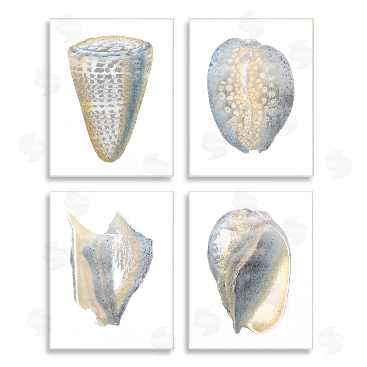 Vision Studio Minimal Marine Shells Unique Pattern Wooden Wall Plaque Art Print