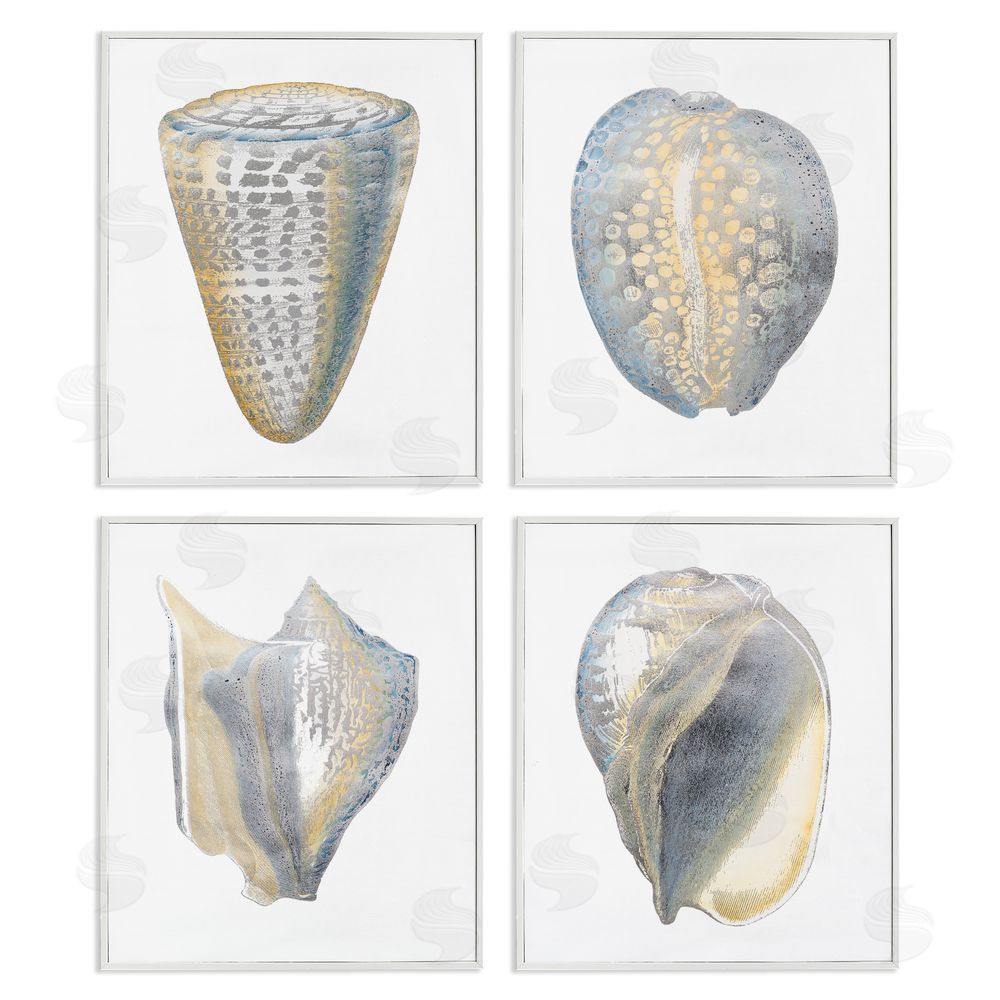Vision Studio Minimal Marine Shells Unique Pattern White Framed Giclee Wall Art Print
