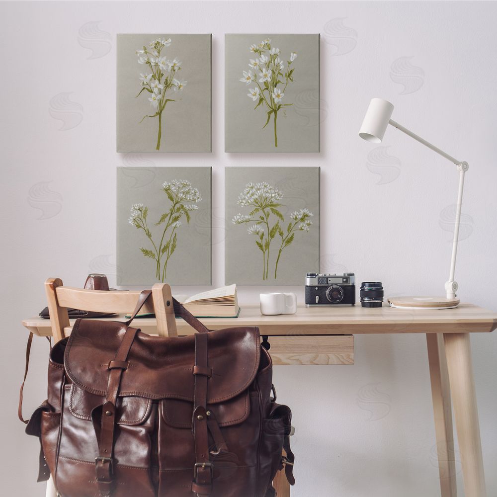 Jennifer Goldberger Vintage White Wild Flower Study Soft Petals Canvas Wall Art Print in Room