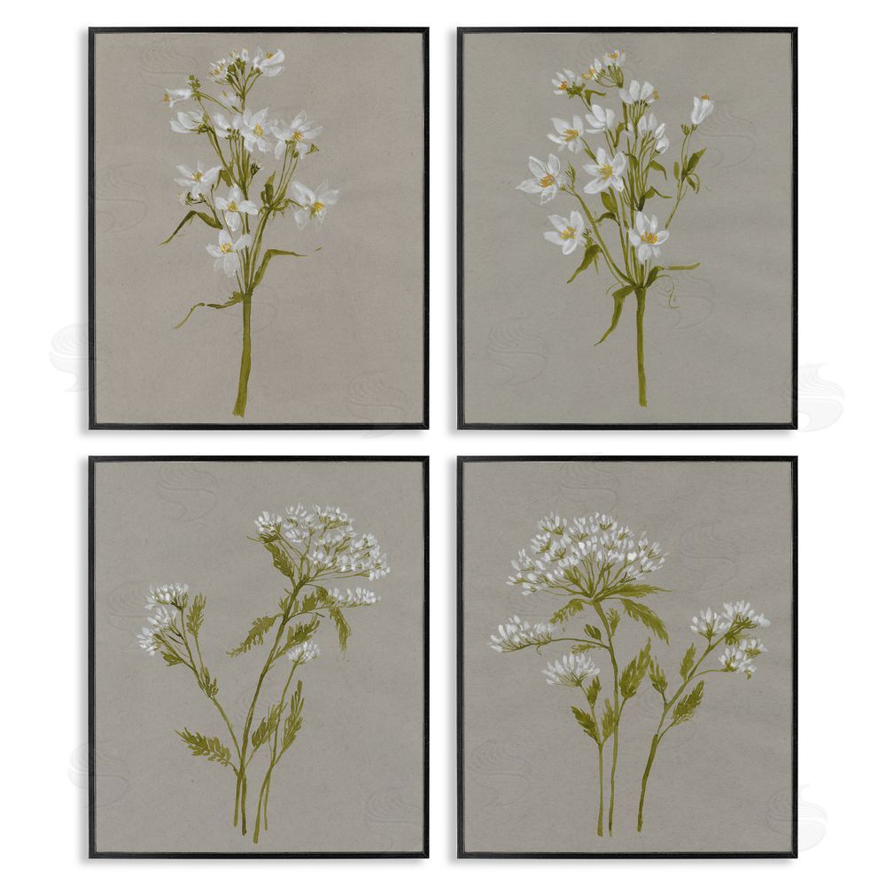 Jennifer Goldberger Vintage White Wild Flower Study Soft Petals Black Framed Giclee Wall Art Print