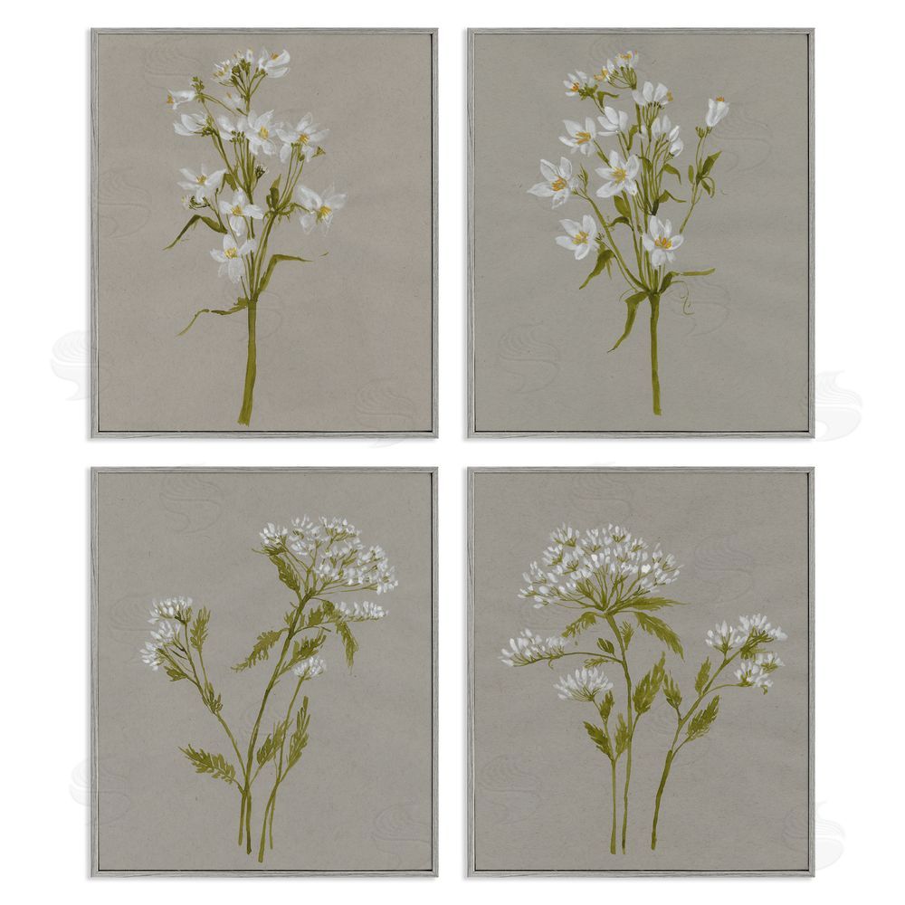 Jennifer Goldberger Vintage White Wild Flower Study Soft Petals Gray Framed Giclee Wall Art Print