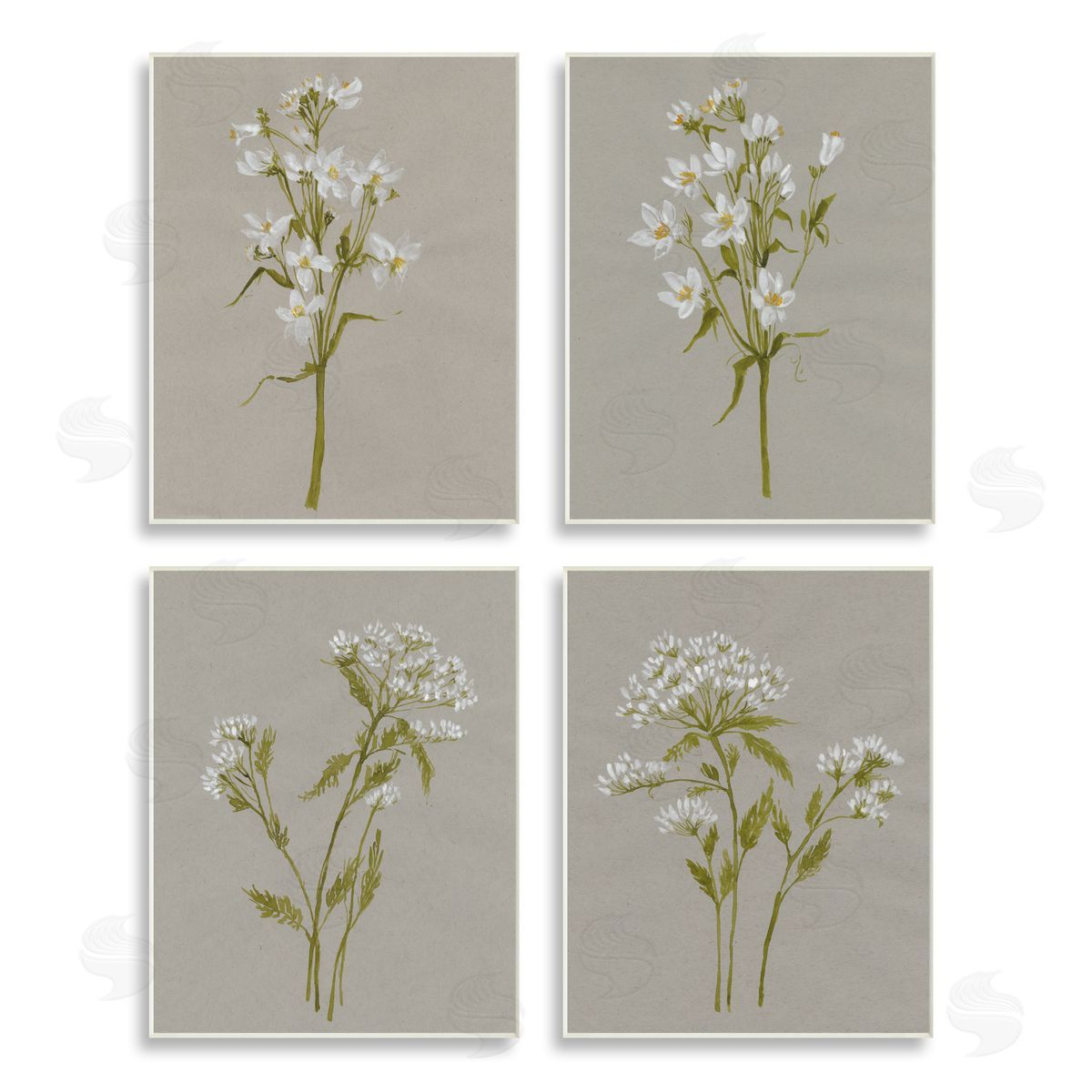Jennifer Goldberger Vintage White Wild Flower Study Soft Petals Wooden Wall Plaque Art Print