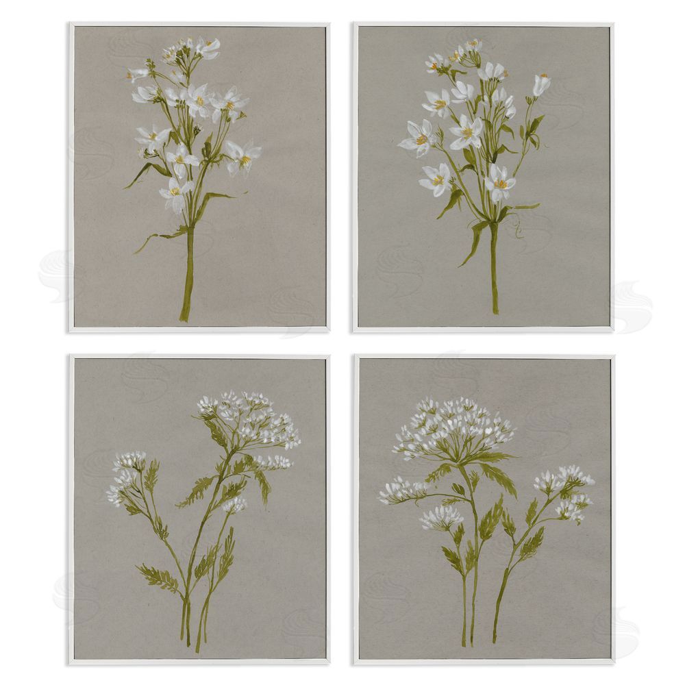 Jennifer Goldberger Vintage White Wild Flower Study Soft Petals White Framed Giclee Wall Art Print
