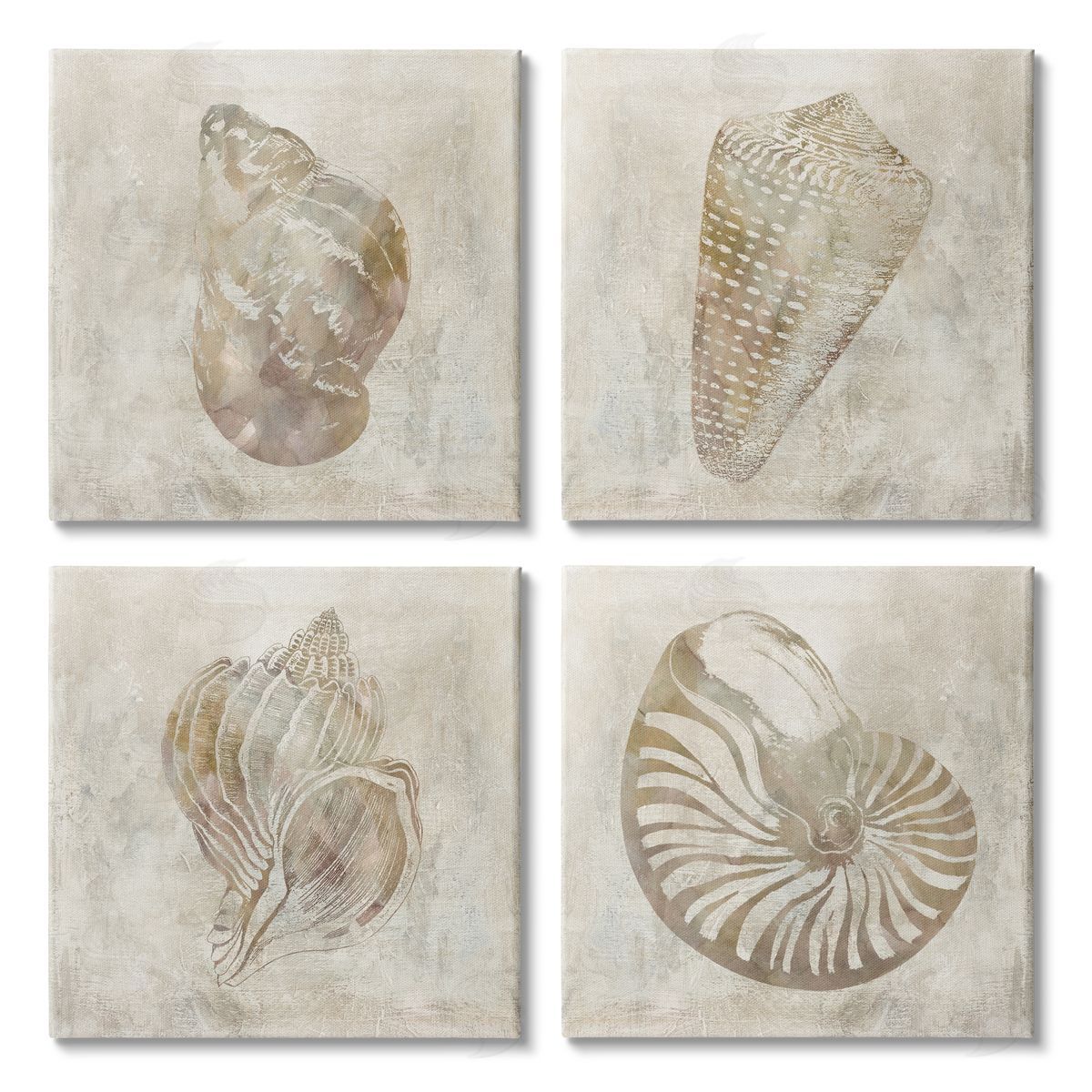 Carol Robinson Vintage Nautilus Seashells Patterned Aquatic Animals Canvas Wall Art Print