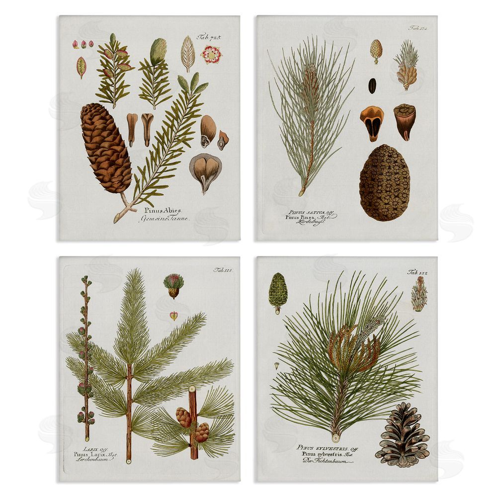 Kelly Donovan Vintage Forest Pine Illustrated Study Canvas Wall Art Print