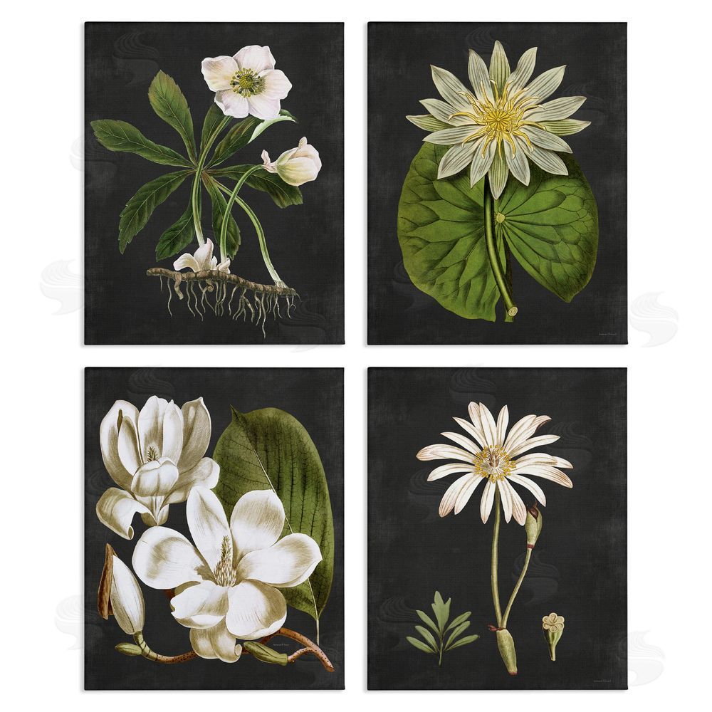 Lettered and Lined Vintage White Florals over Distressed Canvas Wall Art Print